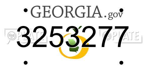 3253277 Georgia License Plate