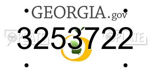 3253722 Georgia License Plate