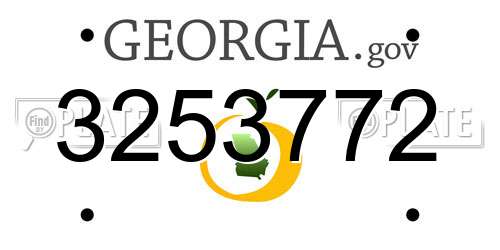 3253772 Georgia License Plate