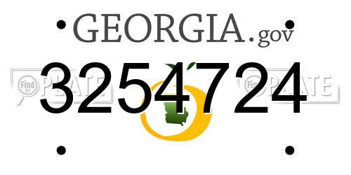 3254724 Georgia License Plate