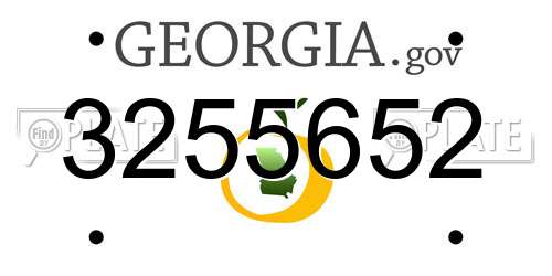 3255652 Georgia License Plate