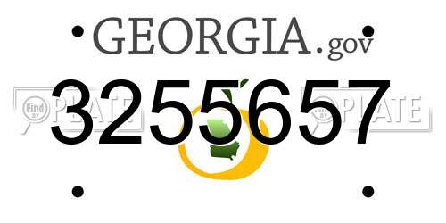 3255657 Georgia License Plate