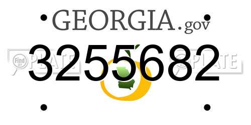 3255682 Georgia License Plate