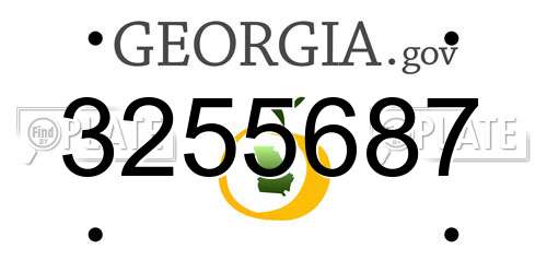 3255687 Georgia License Plate