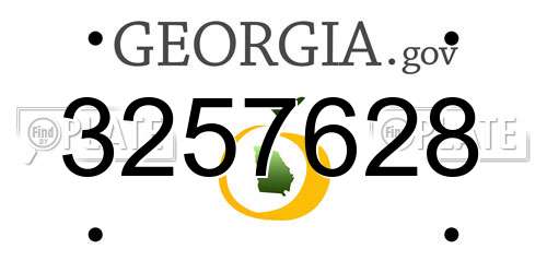 3257628 Georgia License Plate
