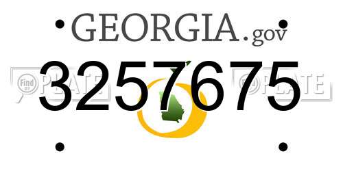 3257675 Georgia License Plate