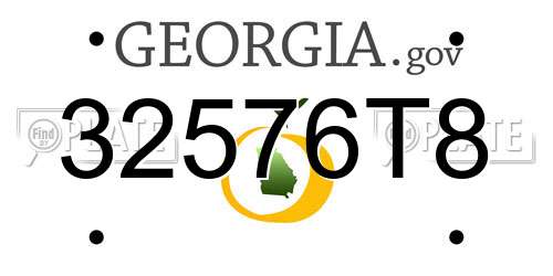 32576T8 Georgia License Plate