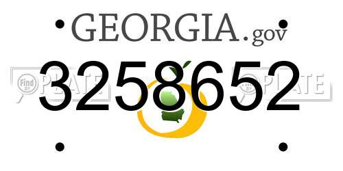 3258652 Georgia License Plate
