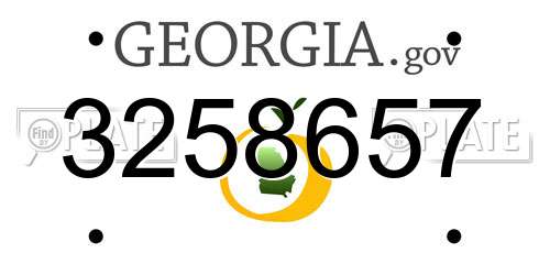 3258657 Georgia License Plate