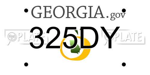 325DY Georgia License Plate