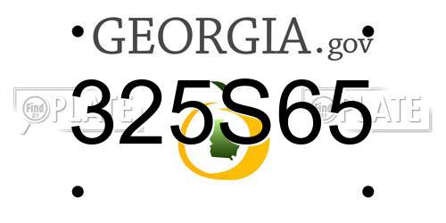 325S65 Georgia License Plate