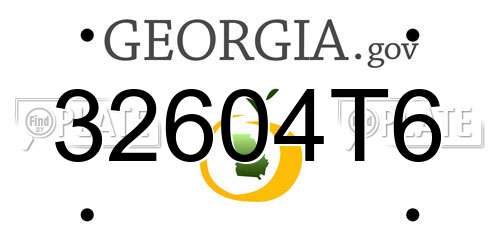 32604T6 Georgia License Plate