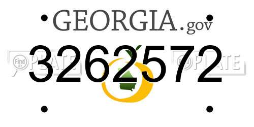 3262572 Georgia License Plate
