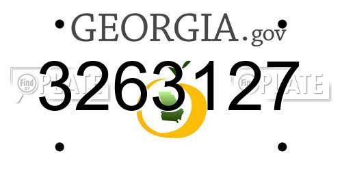 3263127 Georgia License Plate