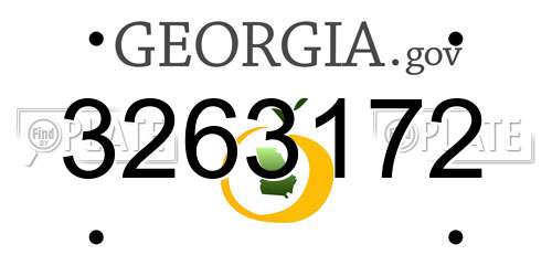 3263172 Georgia License Plate