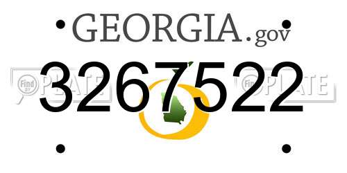 3267522 Georgia License Plate