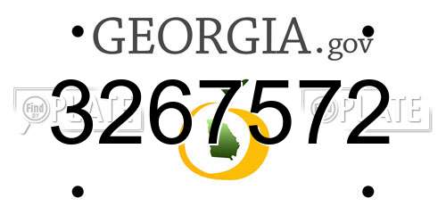 3267572 Georgia License Plate