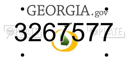 3267577 Georgia License Plate