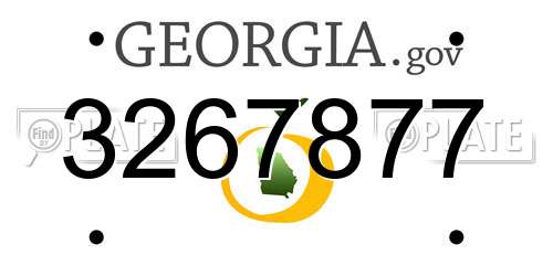 3267877 Georgia License Plate