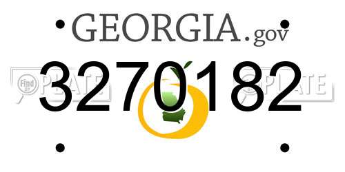 3270182 Georgia License Plate