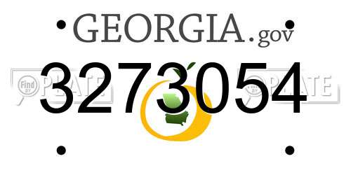 3273054 Georgia License Plate