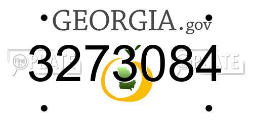 3273084 Georgia License Plate