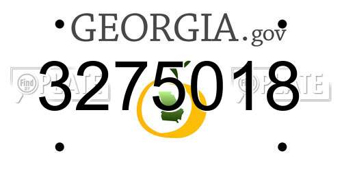 3275018 Georgia License Plate