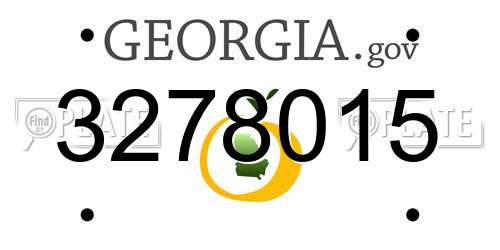 3278015 Georgia License Plate