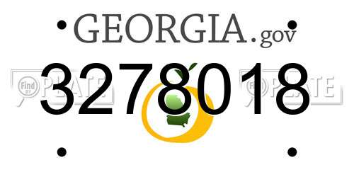 3278018 Georgia License Plate