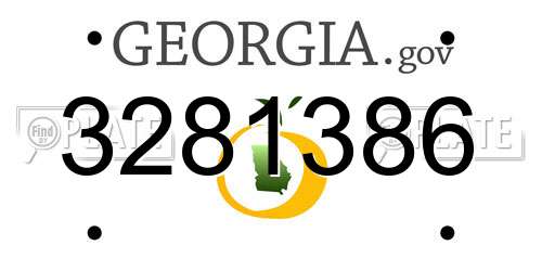 3281386 Georgia License Plate