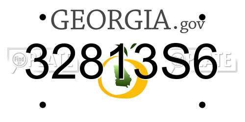 32813S6 Georgia License Plate