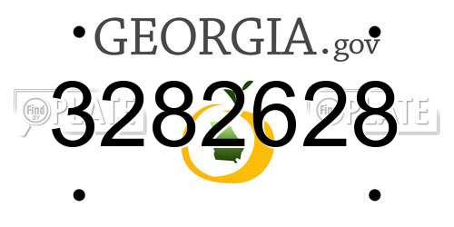 3282628 Georgia License Plate