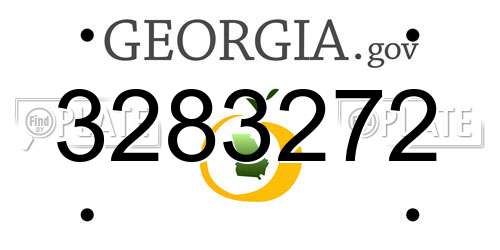 3283272 Georgia License Plate