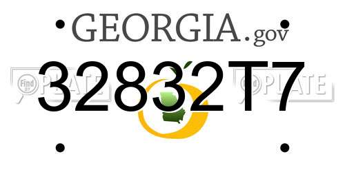32832T7 Georgia License Plate