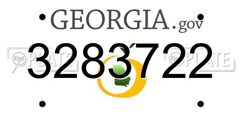 3283722 Georgia License Plate