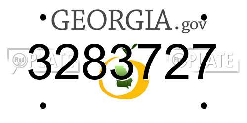 3283727 Georgia License Plate