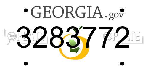 3283772 Georgia License Plate