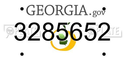 3285652 Georgia License Plate