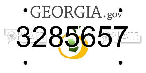 3285657 Georgia License Plate