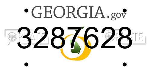 3287628 Georgia License Plate