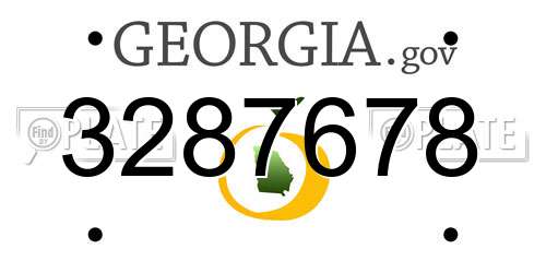 3287678 Georgia License Plate
