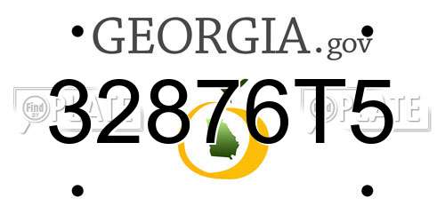 32876T5 Georgia License Plate