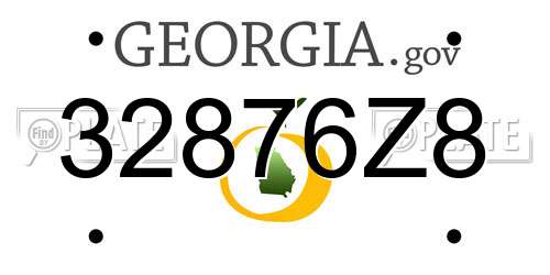 32876Z8 Georgia License Plate