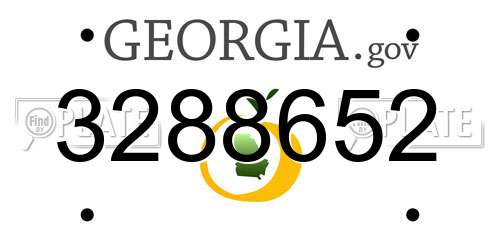 3288652 Georgia License Plate