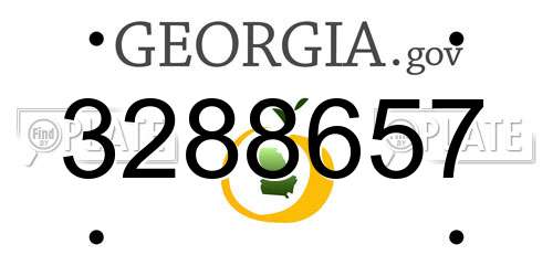 3288657 Georgia License Plate