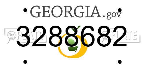 3288682 Georgia License Plate