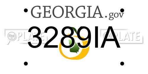 3289IA Georgia License Plate