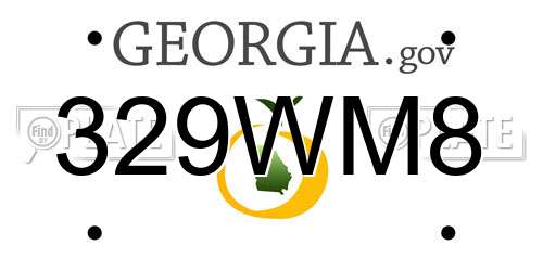 329WM8 Georgia License Plate
