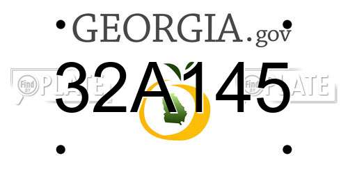 32A145 Georgia License Plate