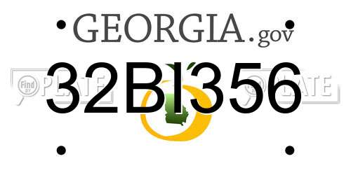 32BI356 Georgia License Plate